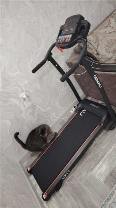 Беговая дорожка сатылады.