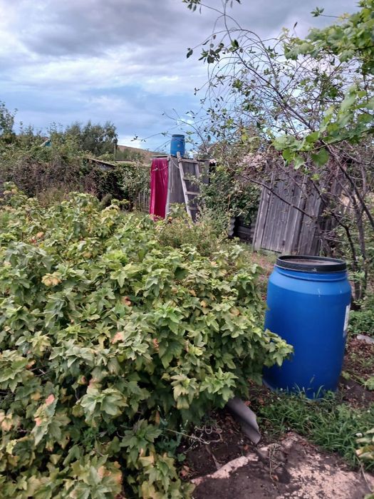 Продам дачу в 1 обществе