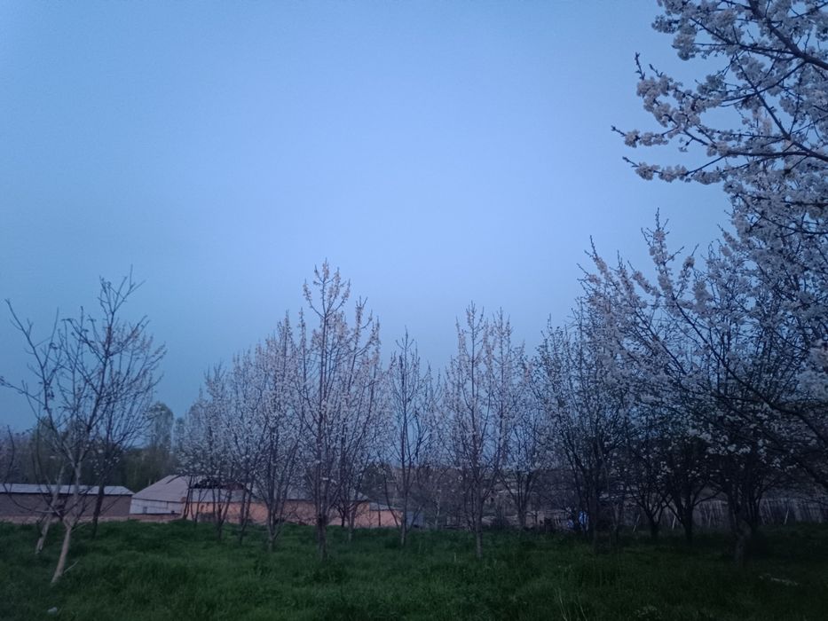 Yer sotiladi 30 so'tik