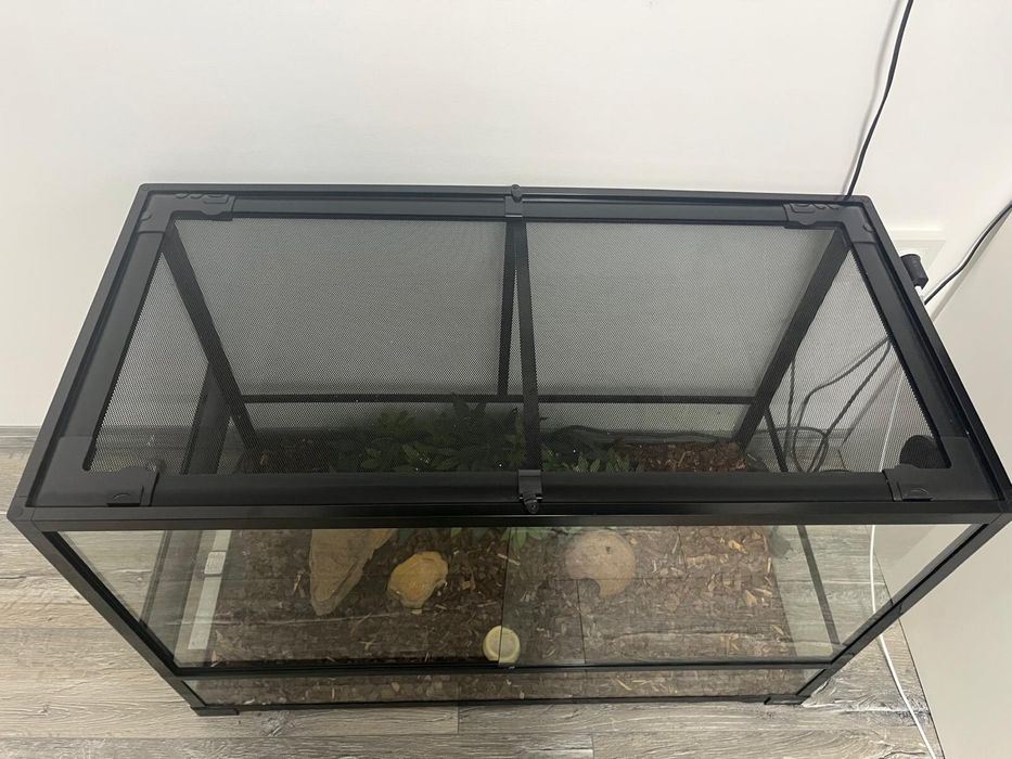 Terariu repti plenet