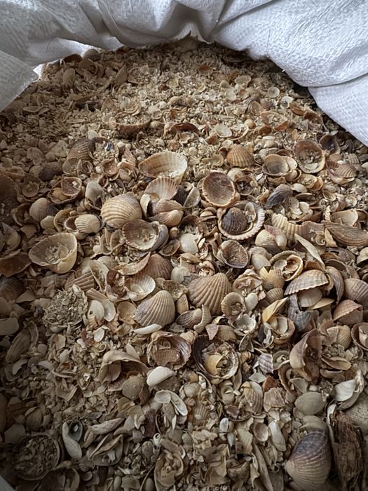 Соль оптом и в розницу