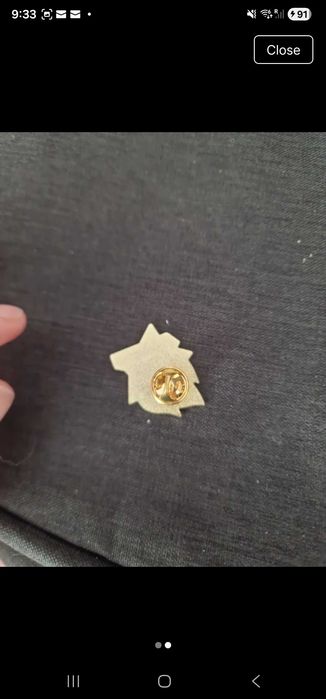 Pin dog red russian vinted sale only