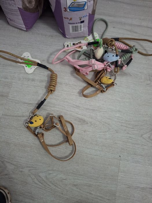 Caini si pisici accesori