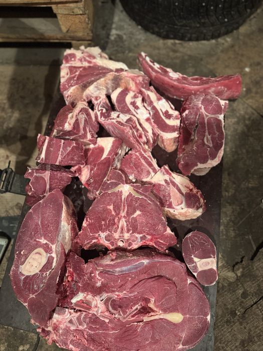 Продам мясо говядины молодняк