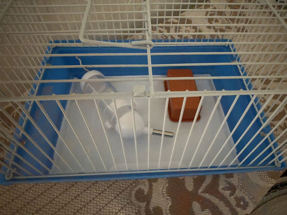 клетка для хомяка