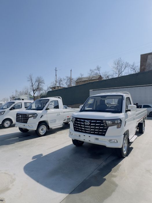 changan star puls 2026