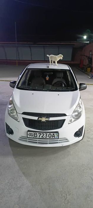 Spark top toza olasiz minasiz