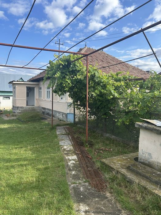 P.F. Casă - Prohozesti / Poduri - Bacau