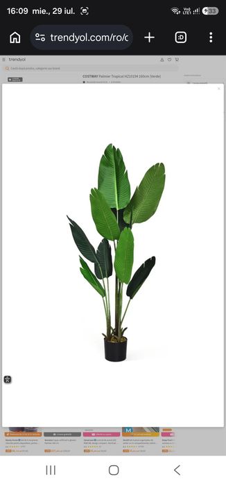 almier Tropical HZ10194 160cm (Verde)