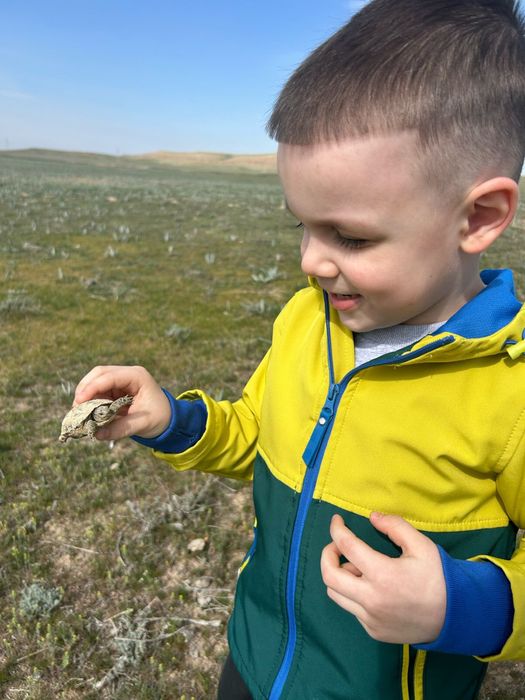 Продам коляску прогулочную