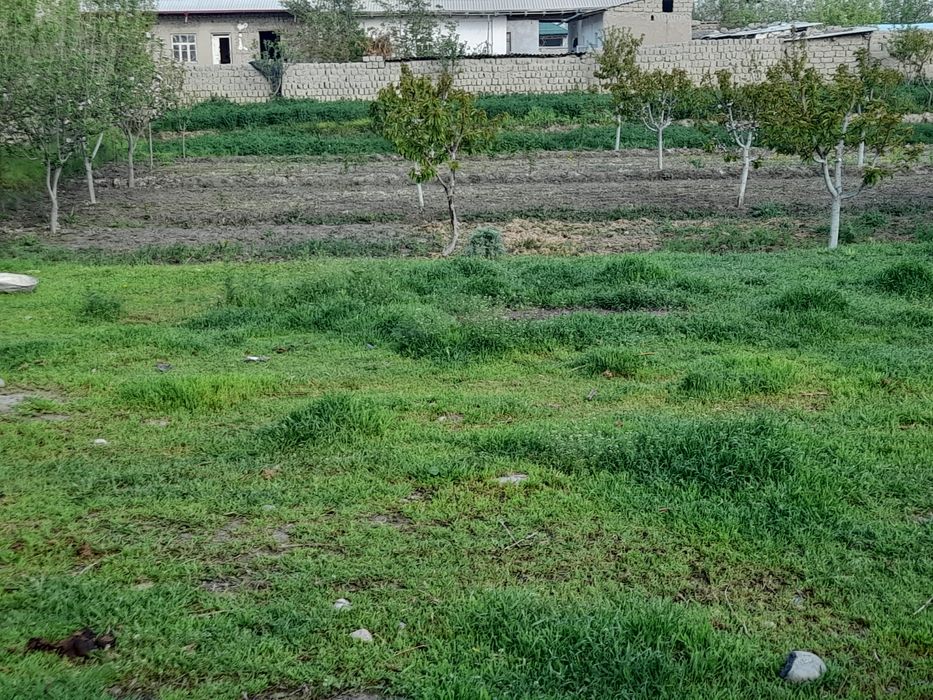 Yer sotiladi 8 sutix manzil Eski jomboy