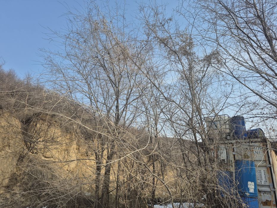 Участок 10 соток