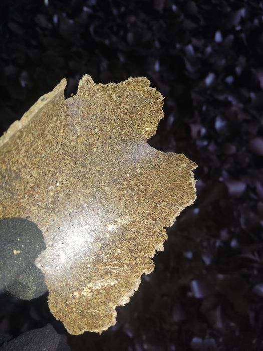 Реализуем льняной Жмых