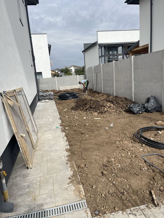 Gazon rulou și plante Ornamentale