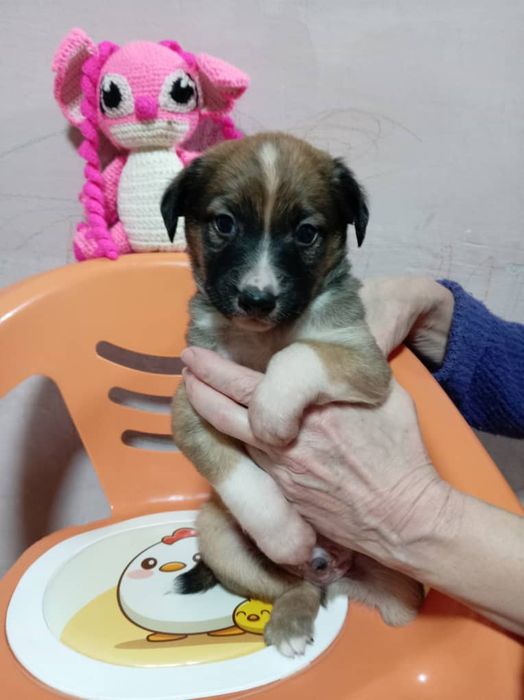 В самые добрые ручки