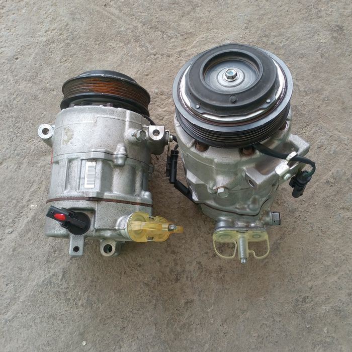 Kandisaner kaptiva maibga kobtga spark jentra neksyaga laseti bor