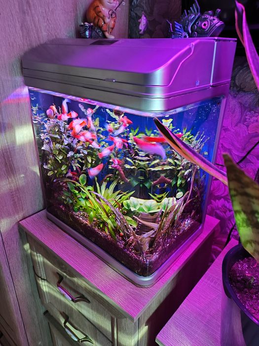 Продам Аквариум 350л.  И 36л.