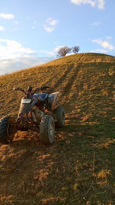 ATV quad barossa mustang
