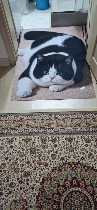 Продам коврик кошка новый.