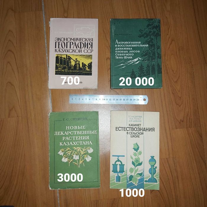 Букинист (кітаптар, книги)