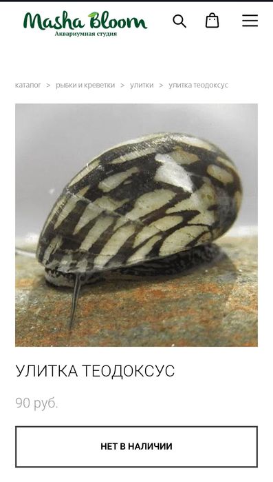 Аквариумные рыбки