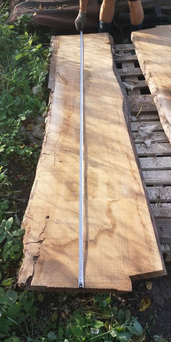 Blaturi nuc 5 cm