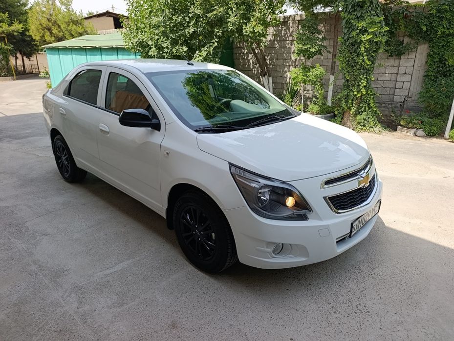 Коблт midnight 2025
