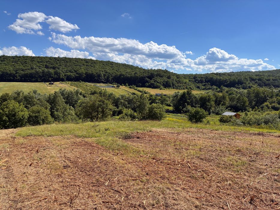 Vând Teren Deva Hunedoara situat in Almașu Mic, Pestișu Mic, cu o panoramă superbă