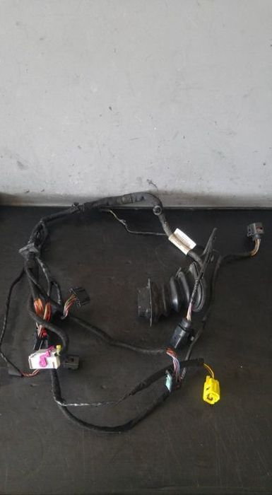 Instalatie electrica usa stanga fata seat leon 1p1 1p1971120d