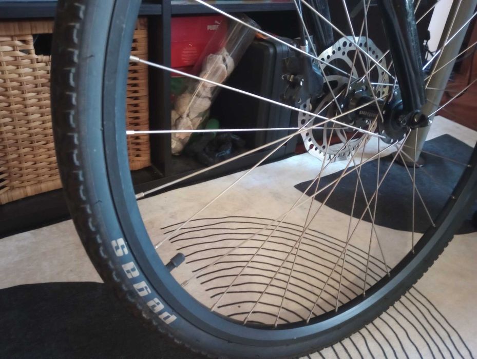 Bicicleta Pegas Hoinar (pentru oras, livrari, sau drumetii)