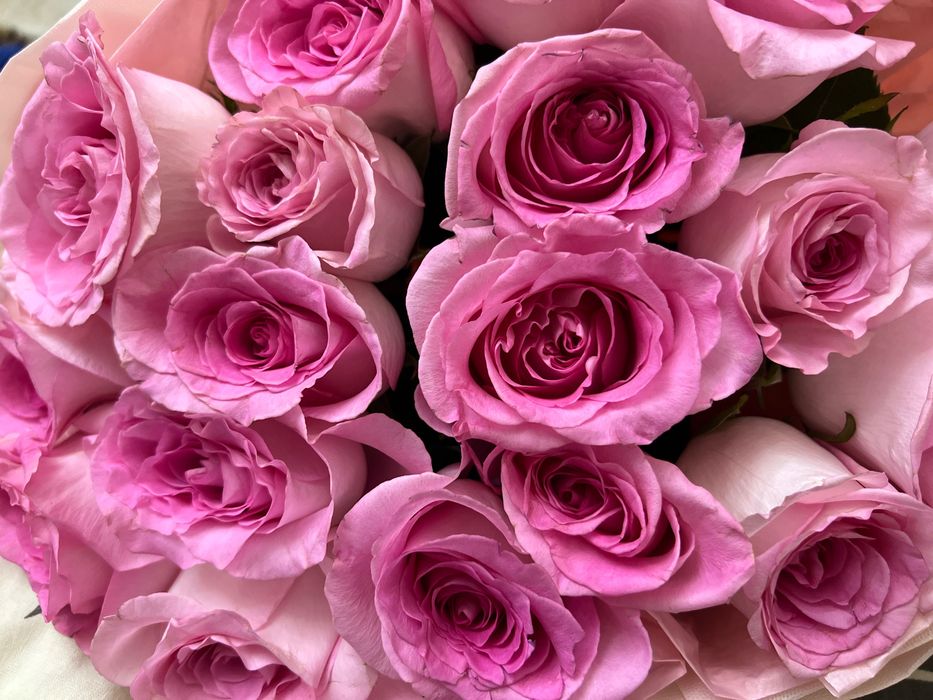 Букет цветы роза