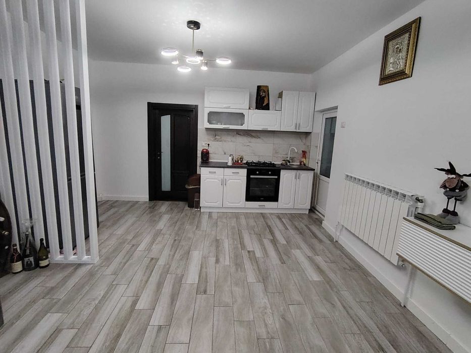 Vand casa cu teren in Radaseni pretabila pentru spatiu comercial/depozit/service/sera/livada