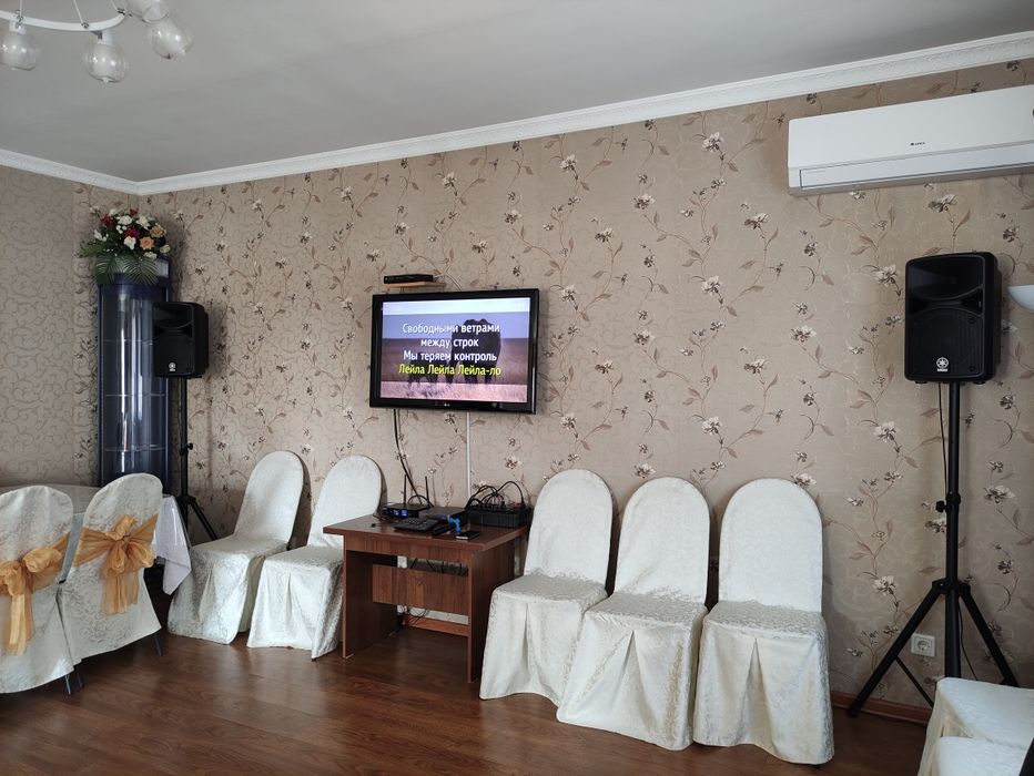 Караоке аренда прокат prof EVOLUTION и AST