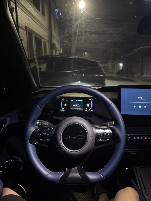 Bud seagull Черный