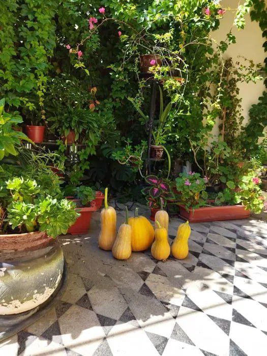 Сдам уютный дом в Центре города.Максим Горький