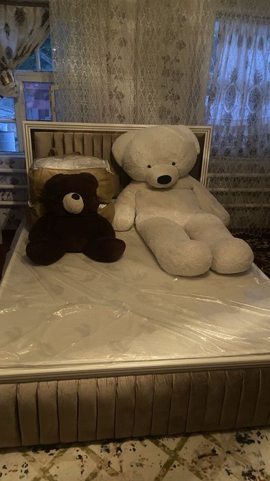 Қолма қол ақшаа