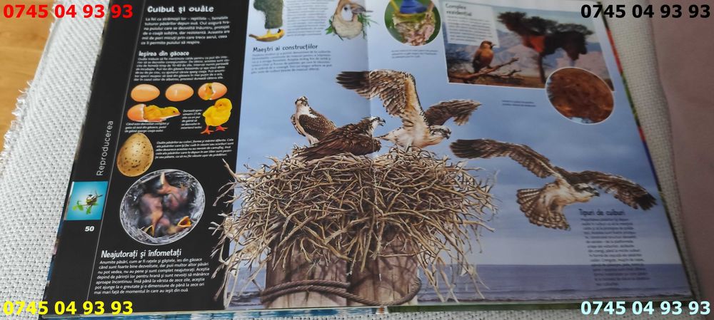 carte carti lumea animalelor cartonata si noua