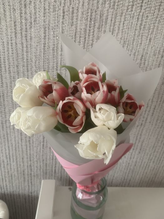 продам тюльпаны.