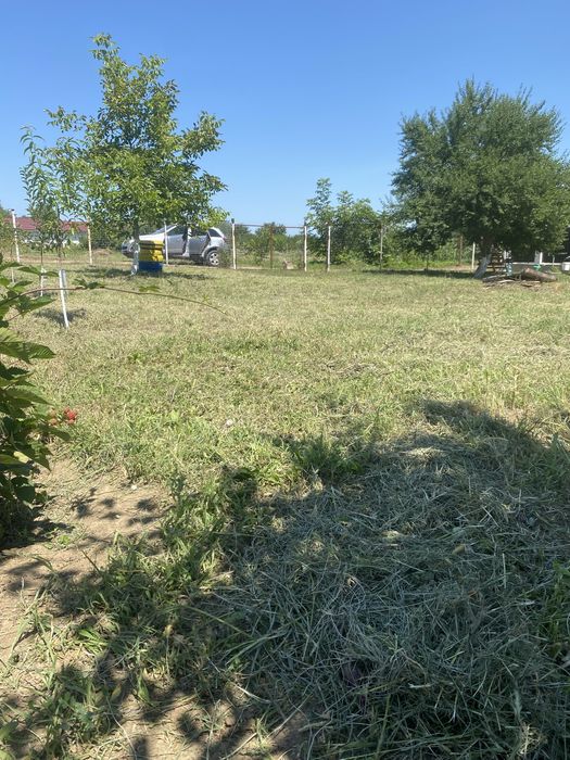 Teren intravilan Bacau