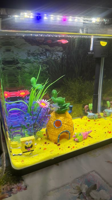 Аквариум с рыбками