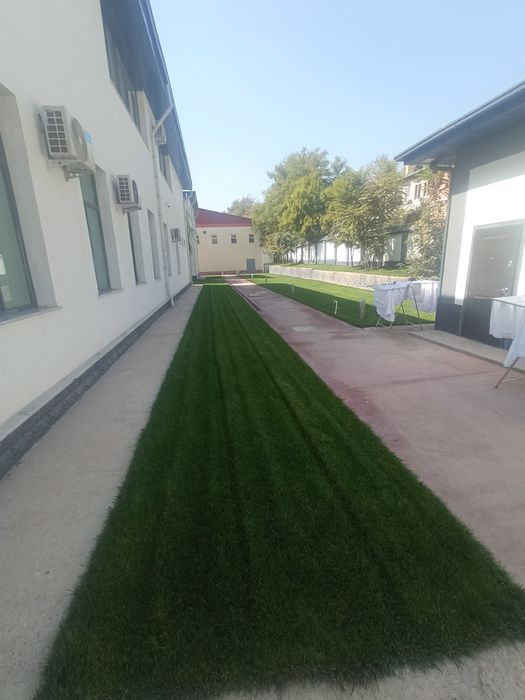 Газоны Полиной система ландшафтный дизайн