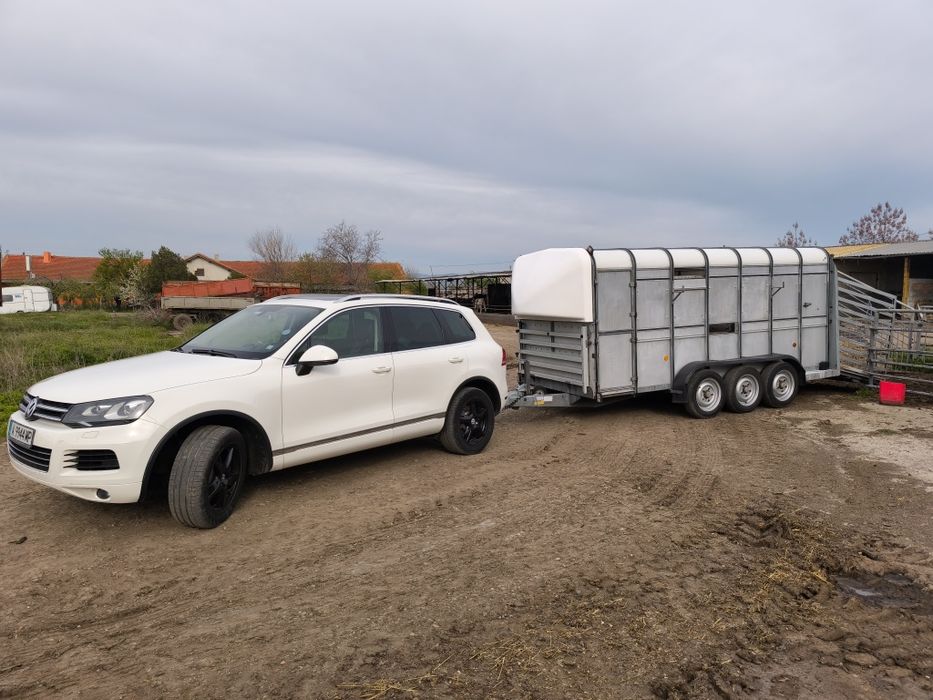 Лицензиран превоз на животни,Животновоз