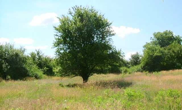 Къща в Бдинци...