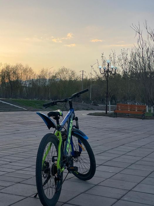 Велосипед phoenix