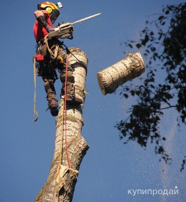 Спил деревьев обрезка ағаш кесеміз