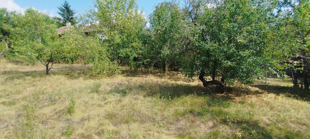 Продава се Парцел в с. Егълница, Област Перник - 1071 кв.м за 24 €/кв.м - Снимка #4