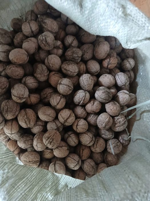 Продаётся орехи кг 500 тенге