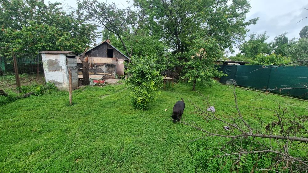 Teren/Casa de vanzare zona Aviatiei