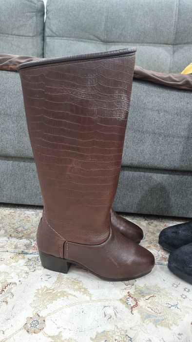 Кәміл етік көкпарға атқа мінуге