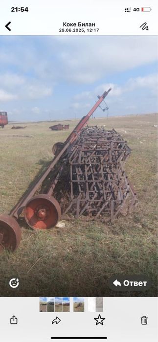 борн 40 штук